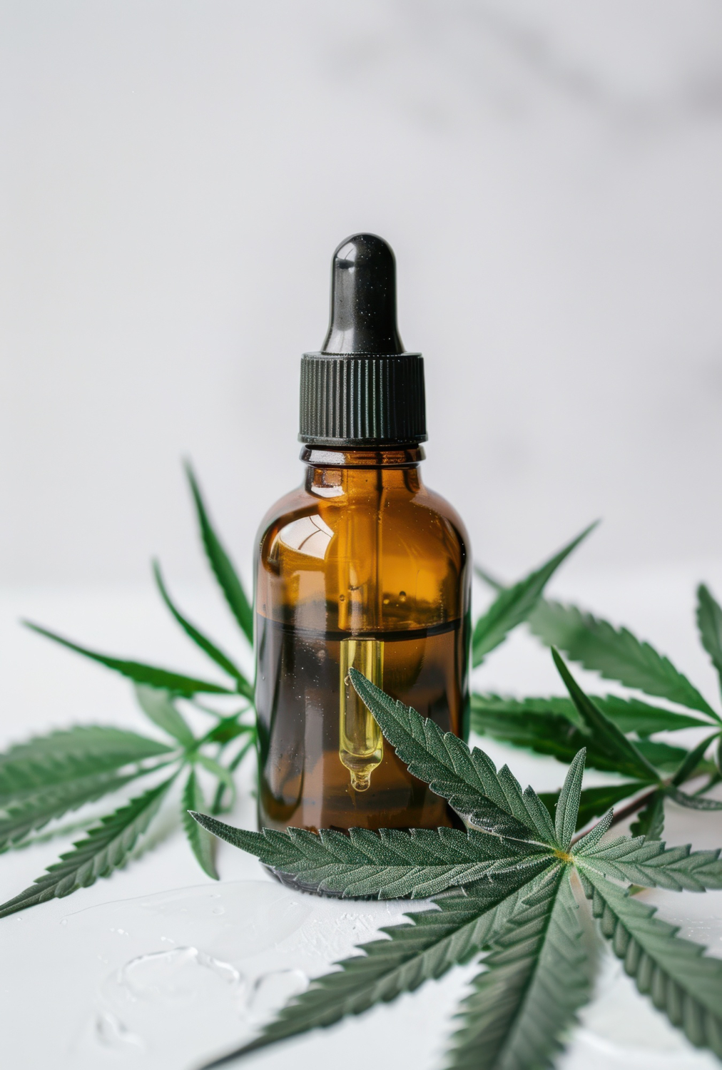 CBD Dropper Tincture
